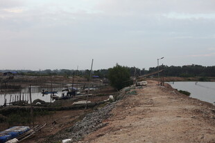 乡村泥泞小路与周边景致