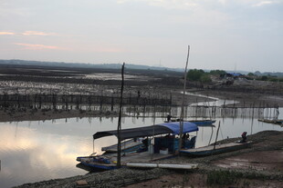 河畔停泊的船只与宁静风光