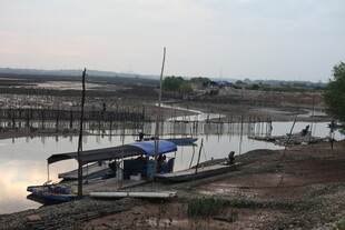 河畔停泊船只的宁静景象
