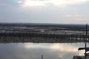 黄昏下宁静的水边景观