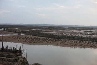 海边滩涂养殖景观