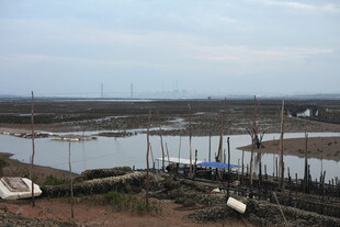 宁静河畔的简易停泊场景