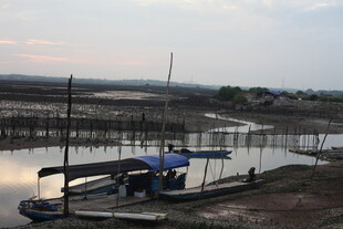 河畔停泊的简易船只