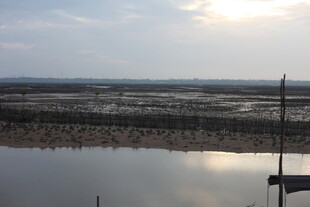 夕阳下的宁静滩涂水域