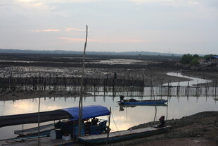 宁静河畔的船只停泊景象