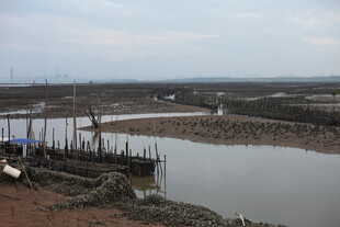 宁静河畔码头风光