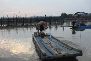 水上木筏劳作场景