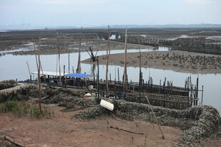 海边渔村简易养殖场景