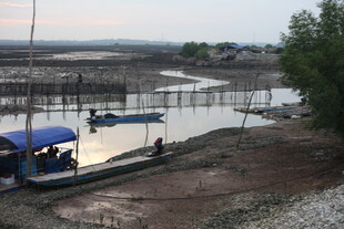 河边停泊的船只与周边景致