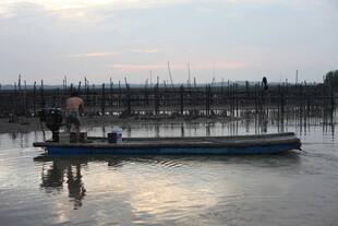 水上小船与远处林立景象