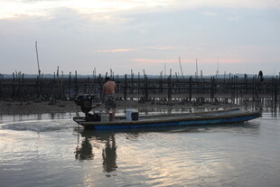 水上渔船与劳作的身影