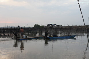 夕阳下的水乡渔船景象