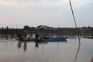 水乡暮色中的小船与劳作