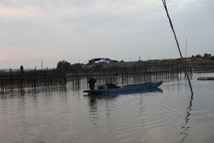 水面上的蓝色小船与一人