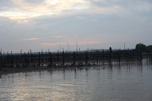 黄昏下的水上木桩景观