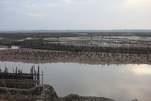 宁静湖畔的开阔景致