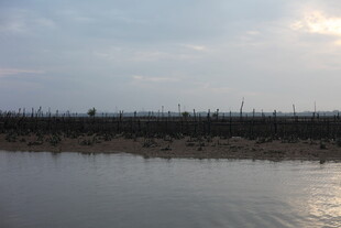 黄昏下的水边景致