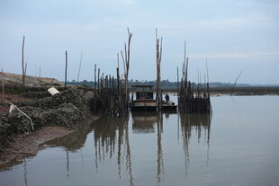 宁静河畔的停泊船只