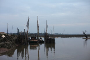 水乡河岸船只静谧景象