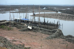 海边渔村简易养殖场景