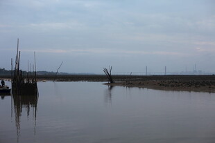 宁静河畔的船只景象