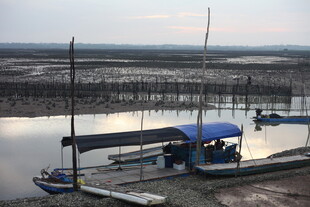 河畔停泊的船只与宁静景象