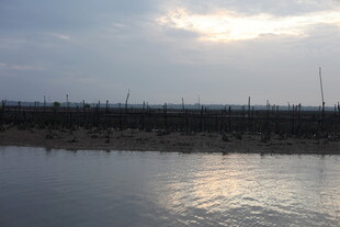 夕阳下的宁静水域景观