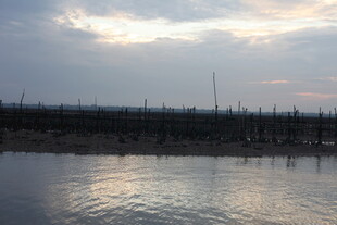 黄昏下的水域与林立设施