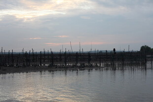 黄昏下的水上木桩景观