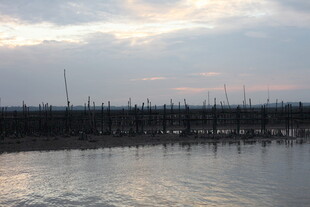 黄昏下的水边林立景象