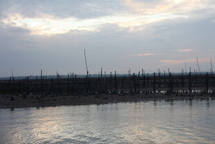 黄昏下的宁静水边景象