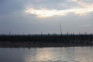 黄昏下的水上养殖场景