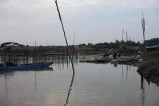 宁静港湾中的停泊船只