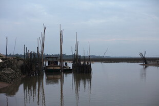 宁静水边停泊的众多船只