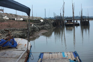 宁静渔村港湾景象