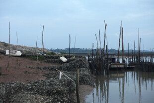 宁静港湾中的停泊船只