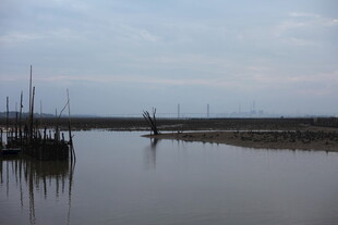 宁静水边的船只停泊景象