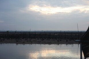黄昏下宁静的水边景致