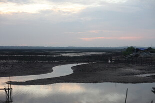 黄昏下的湿地河流景象
