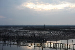 黄昏下的水域与围栏景观