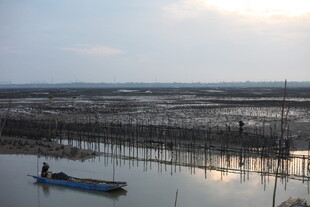 夕阳下的水上养殖场景
