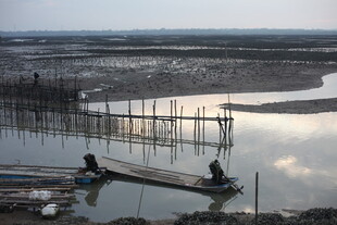 河畔木栈上的静谧时刻