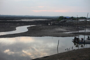 黄昏下宁静的河畔景象