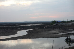 黄昏下的宁静河岸风光