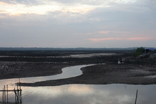 黄昏下的宁静河岸风光