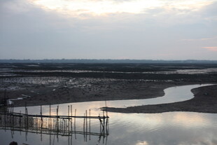 黄昏河畔的静谧水上景观