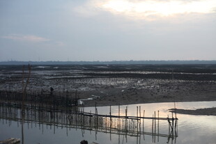 夕阳下的水域养殖场景