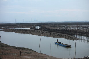 河边小船的宁静景象