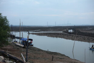 河畔停泊船只的宁静景象