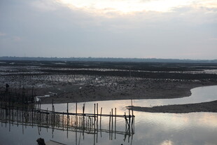 黄昏下的水边木栅栏景观